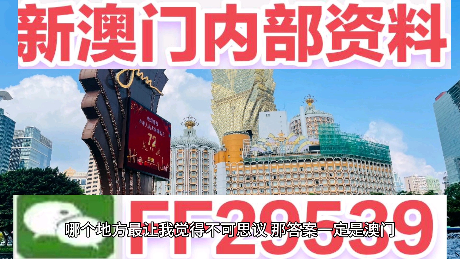 新澳门今晚开特马开,澳门今晚新特马开彩分析与预测
