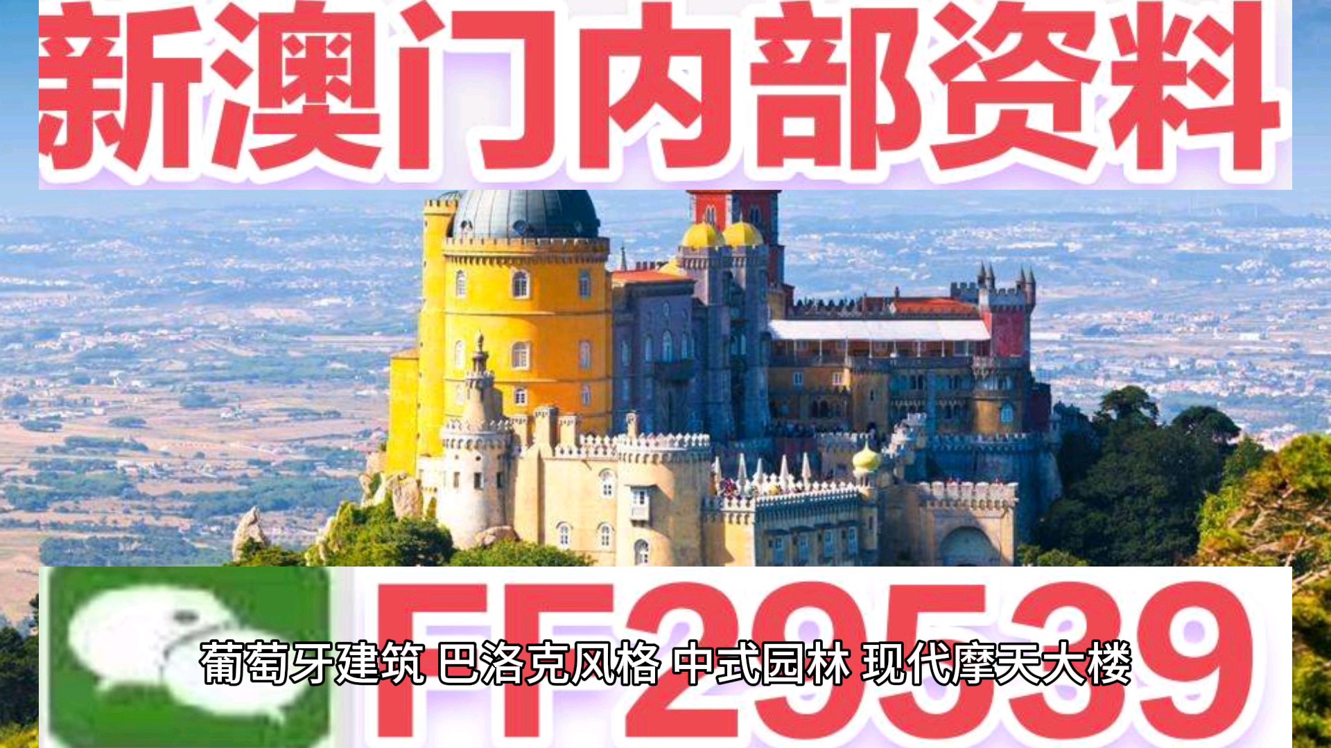 澳门特马今晚开码网站,澳门特马今晚开码网站——探索与解析