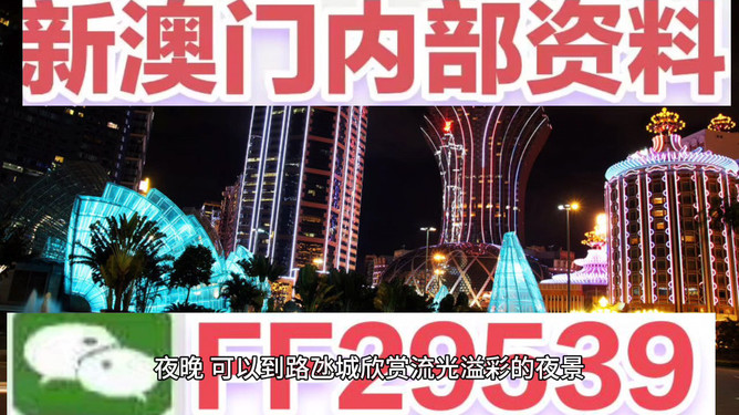 新澳门今晚开特马查询,新澳门今晚开特马查询，探索与解读