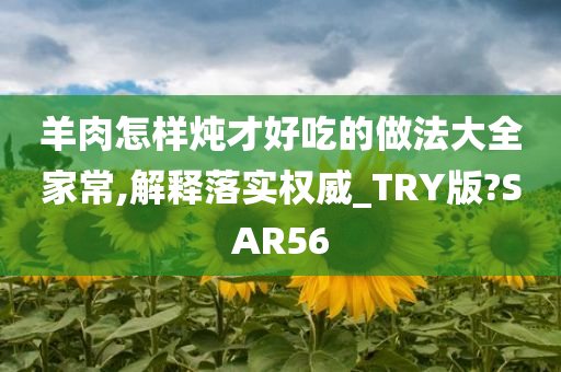 新澳2025正版资料完整版,新澳2025正版资料完整版解析