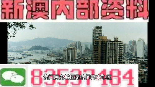 2025年奥门资料大全,2025年澳门资料大全——探索澳门的未来