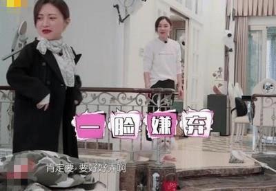 正版资料免费资料大全十点半,正版资料免费资料大全，十点半的宝藏