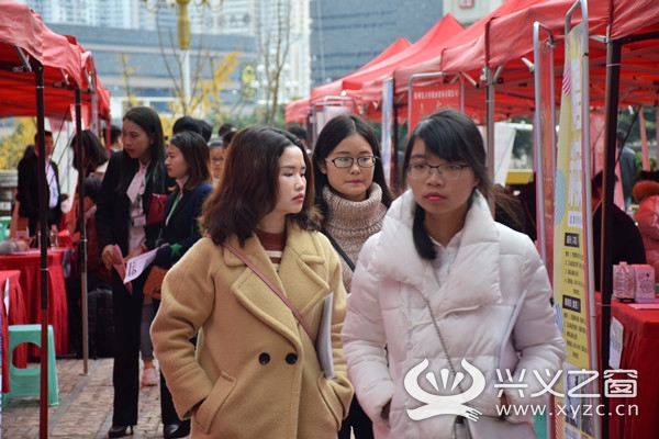 黔西南人才网最新招聘,黔西南人才网最新招聘动态深度解析
