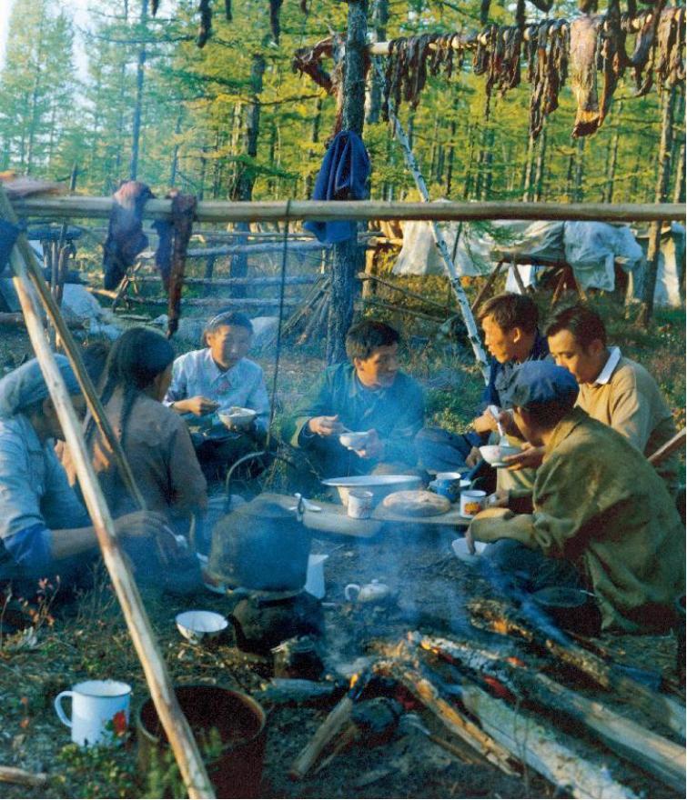 大兴安岭移民最新消息,大兴安岭移民最新消息深度解析