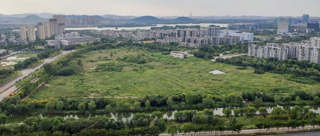 徐州新城区二手房最新,徐州新城区二手房市场最新动态解析
