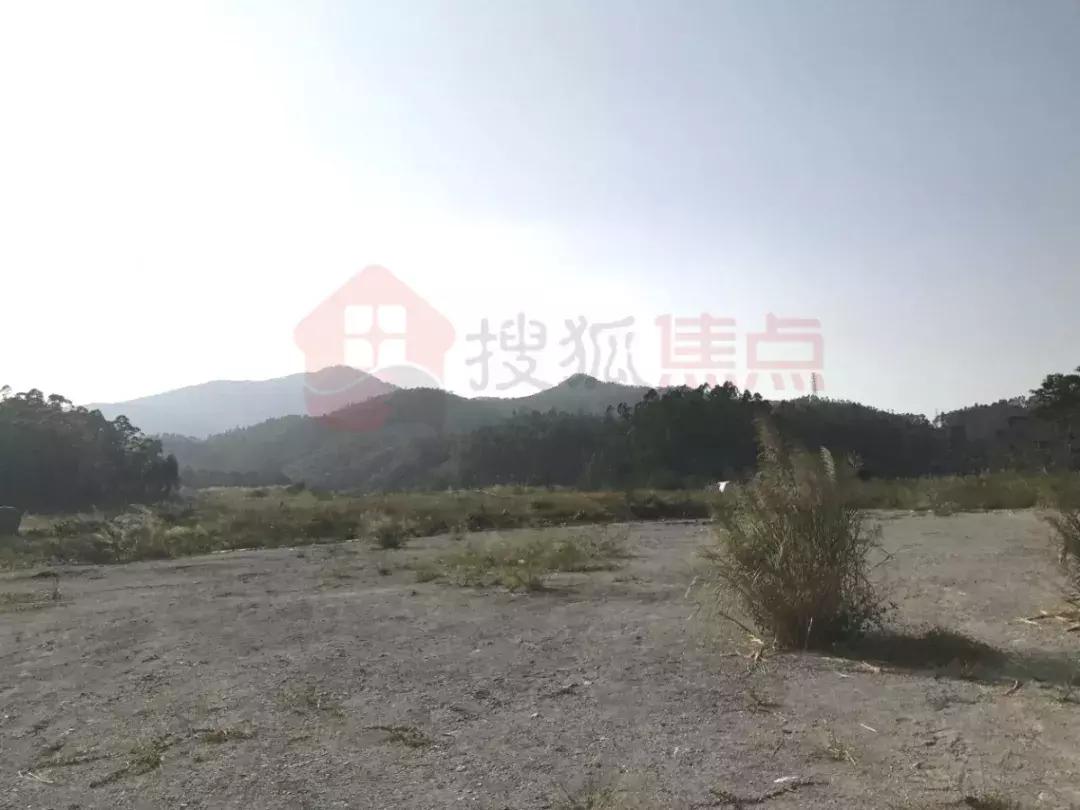 樟木头保利生态城最新消息,樟木头保利生态城最新消息深度解析