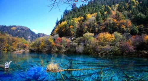最新九寨沟旅游攻略,最新九寨沟旅游攻略