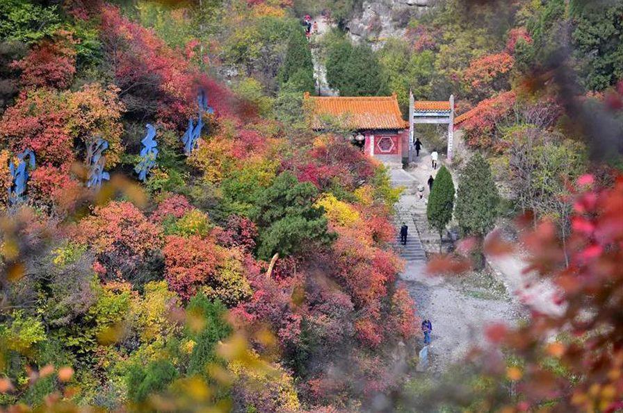 石家庄街景地图最新版,石家庄街景地图最新版，城市风貌的细致描绘