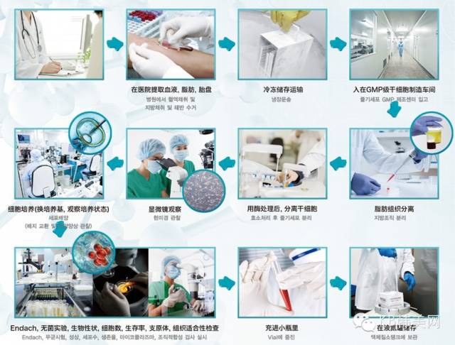 2020年干细胞最新治疗公布,2020年干细胞最新治疗公布，未来医学的新里程碑