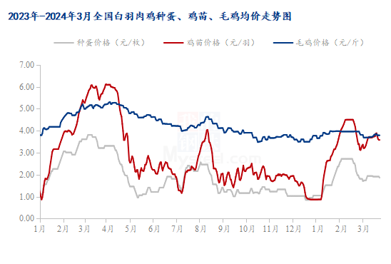 肉毛鸡价格最新行情走势,最新肉毛鸡价格行情走势分析