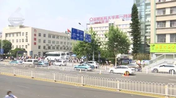 2024新澳门正版免费资木车|精选准确资料解释落实,新澳门正版免费资料木车，精选准确资料解释与落实策略