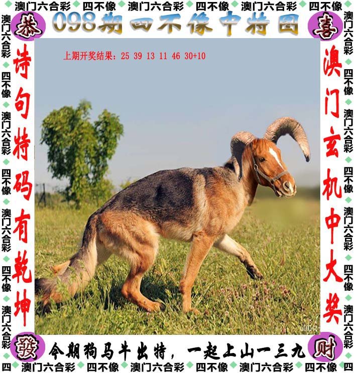 今期四不像图今晚|精选准确资料解释落实,今期四不像图今晚，精选准确资料解释落实