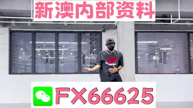 管家婆一码一肖100中奖|精选准确资料解释落实,管家婆一码一肖与中奖的奥秘，精选准确资料的落实解释