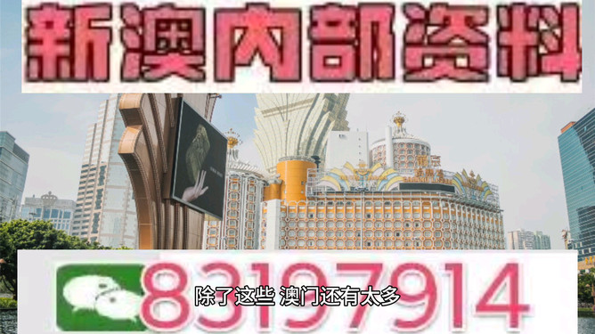 2024澳门正版今晚开特马|精选准确资料解释落实,澳门正版今晚开特马，精选准确资料的解释与落实策略