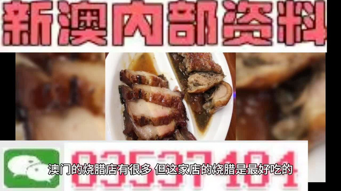 2024新澳最精准资料|精选准确资料解释落实,揭秘新澳2024年精准资料，精选准确资料解释落实之道
