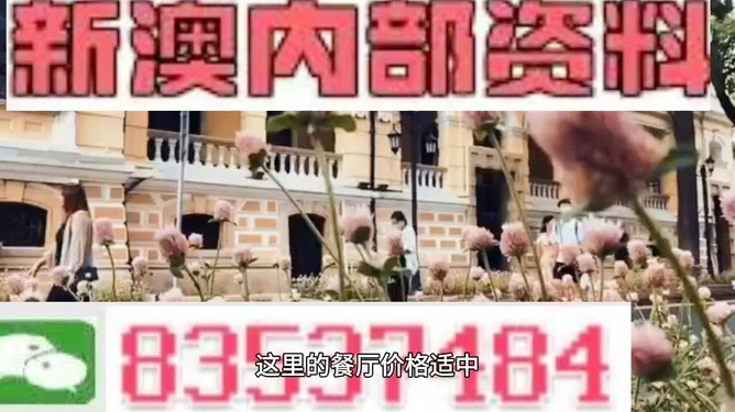 新澳最精准免费资料大全298期|精选准确资料解释落实,新澳最精准免费资料大全298期，精选准确资料的落实与解析