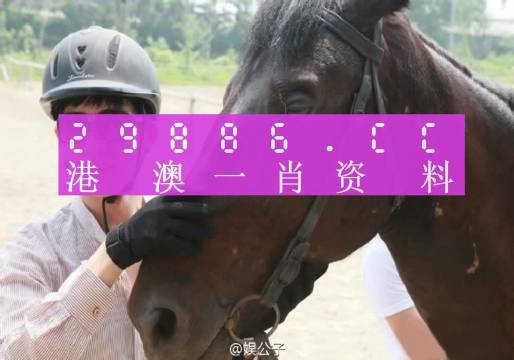 一肖一码一必中一肖|精选准确资料解释落实,一肖一码一必中一肖，精选准确资料解释落实