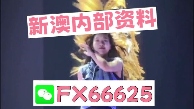 新澳门内部一码精准公开|精选准确资料解释落实,新澳门内部一码精准公开，精选准确资料解释与落实