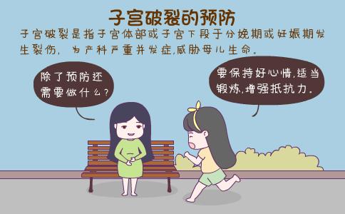 沈阳地铁3号线最新规划,沈阳地铁3号线最新规划，打造城市交通新动脉