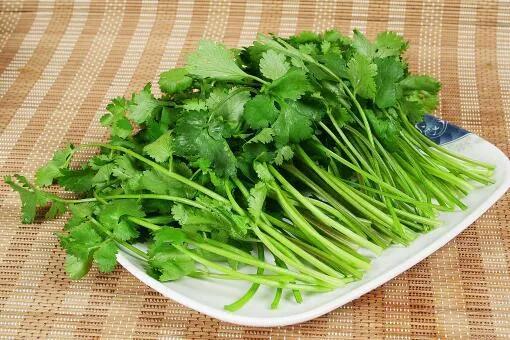 大葱批发价格最新消息,大葱批发价格的最新消息，市场走势与影响因素分析