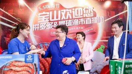 拼多多下载安装2021最新版,拼多多下载安装2021最新版，购物新体验