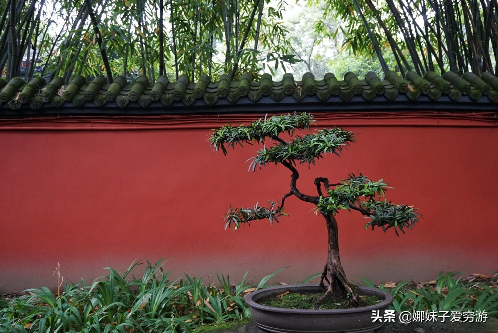 放开那三国2最新开服表,放开那三国2最新开服表——探寻游戏新世界的奥秘