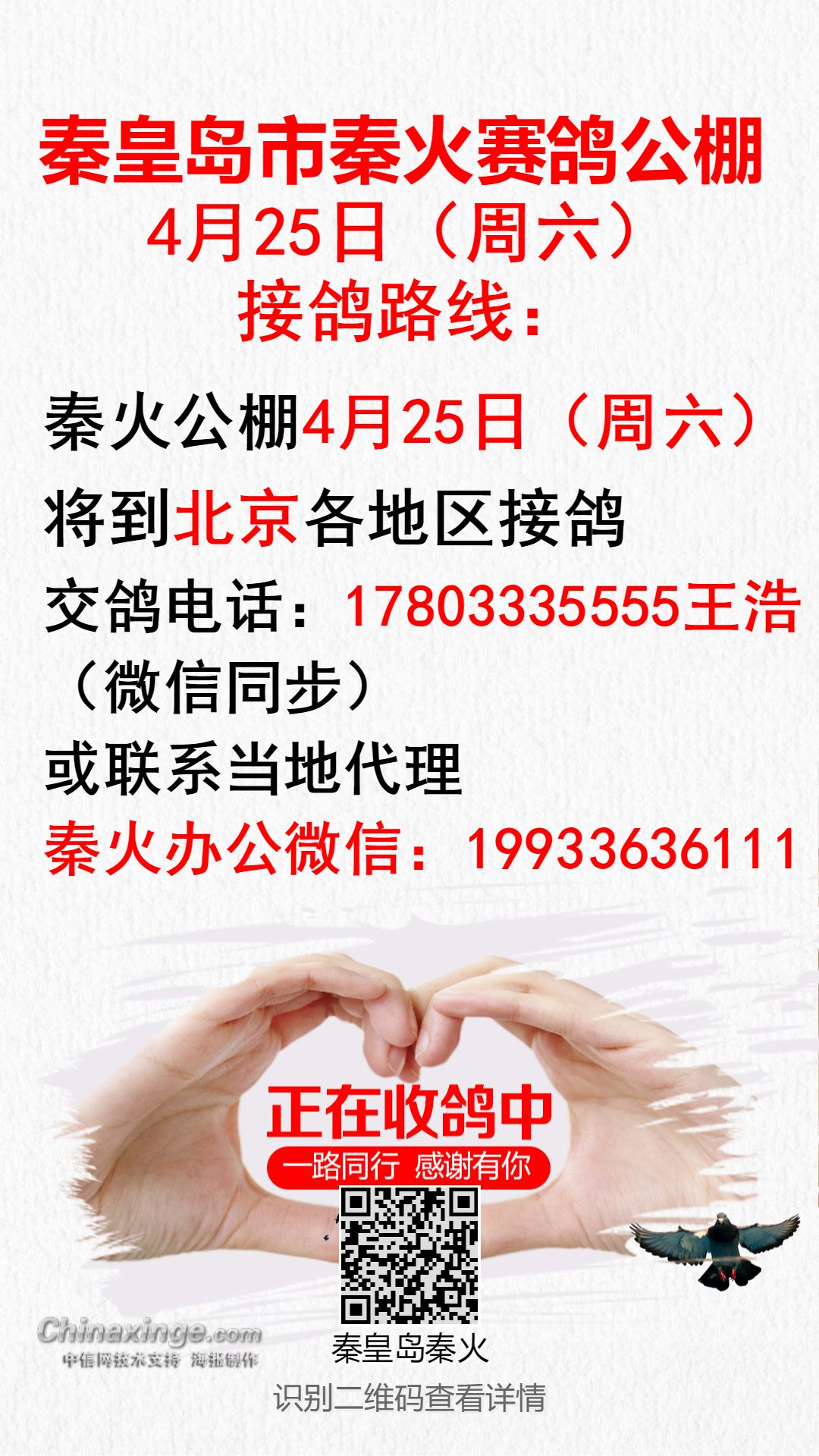 陕西秦都公棚最新公告,陕西秦都公棚最新公告，推动公棚建设与发展，服务广大信鸽爱好者