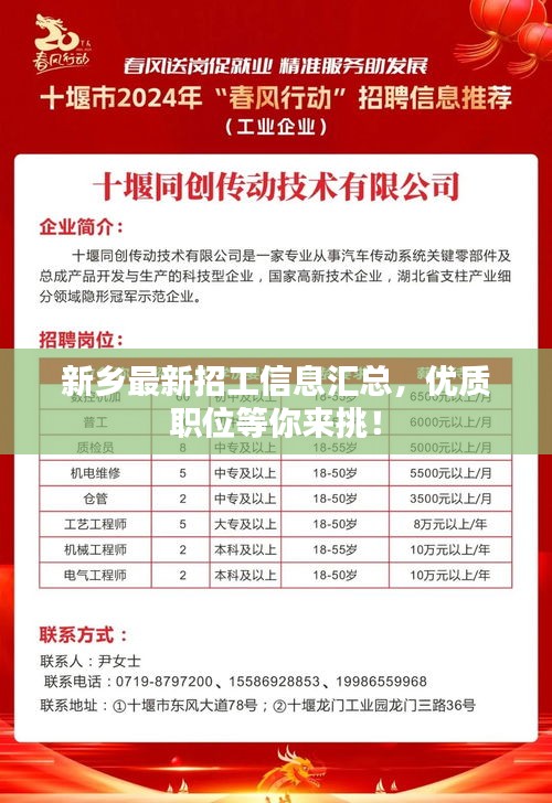 新乡市人才网最新招聘信息,新乡市人才网最新招聘信息概览
