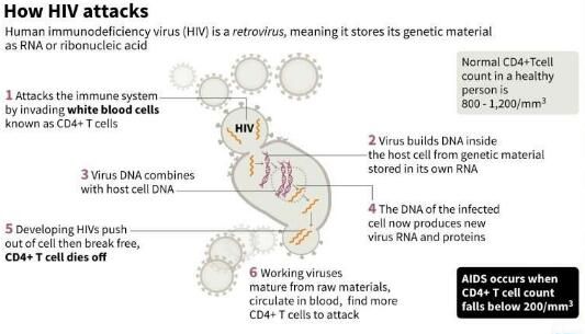 hiv2024最新消息,HIV 2024最新消息，研究突破与未来展望