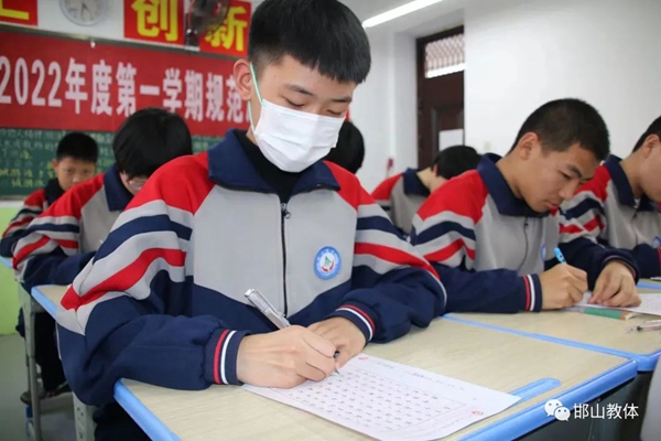 茌山学校最新消息,茌山学校最新消息，迈向未来的教育革新之旅