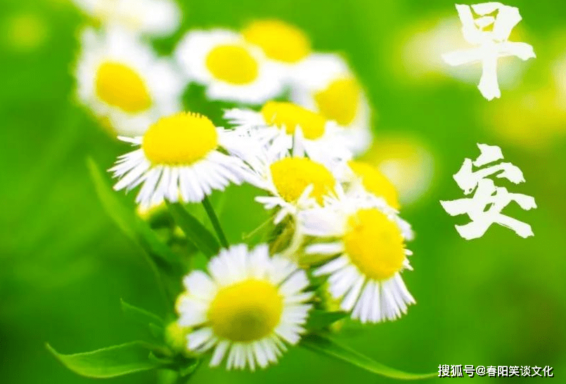 澳门香港 第50页