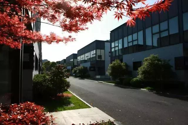 美兰湖最新动迁房价,美兰湖最新动迁房价，市场趋势与深度解析