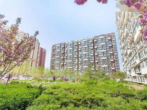 邢台沙河二手房最新消息,邢台沙河二手房市场最新动态与趋势分析