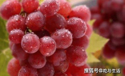 最新人事变动 ash29 新浪博客,最新人事变动下的新浪博客，Ash29的新征程与挑战