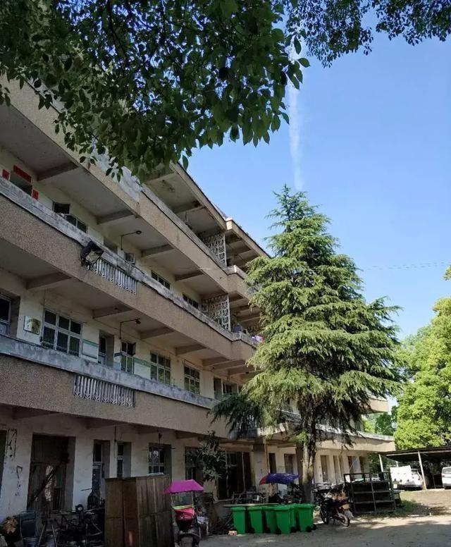 1军1师改师最新消息,关于我军某师改制最新消息的全面解析