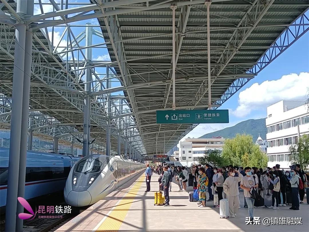 成都到攀枝花路况最新消息,成都至攀枝花路况最新消息全面解析