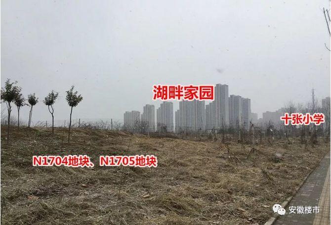 合肥市最新拍卖的房屋,合肥市最新拍卖房屋的热门话题