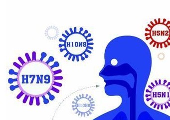 甲型h7n9最新新闻,甲型H7N9最新新闻，全球关注下的禽流感动态