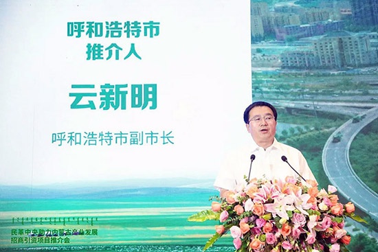 新城区云玉明最新消息,新城区云玉明最新消息全面解读