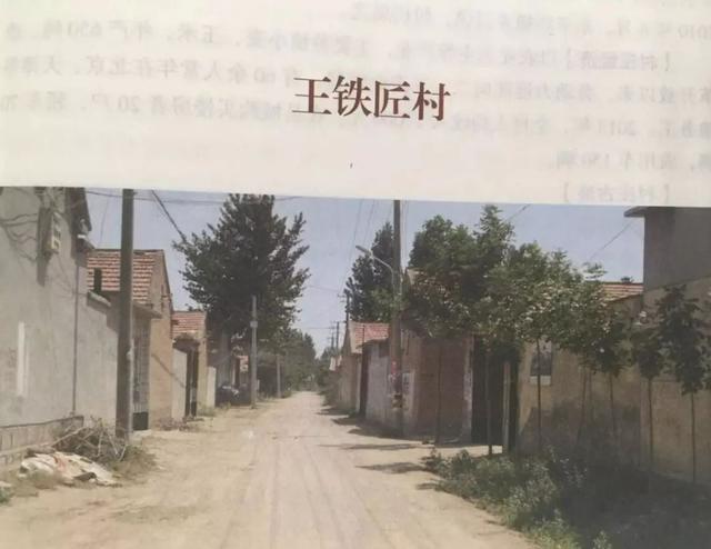 纸店镇张怀君最新消息,纸店镇张怀君的最新消息，奋斗与成长的故事