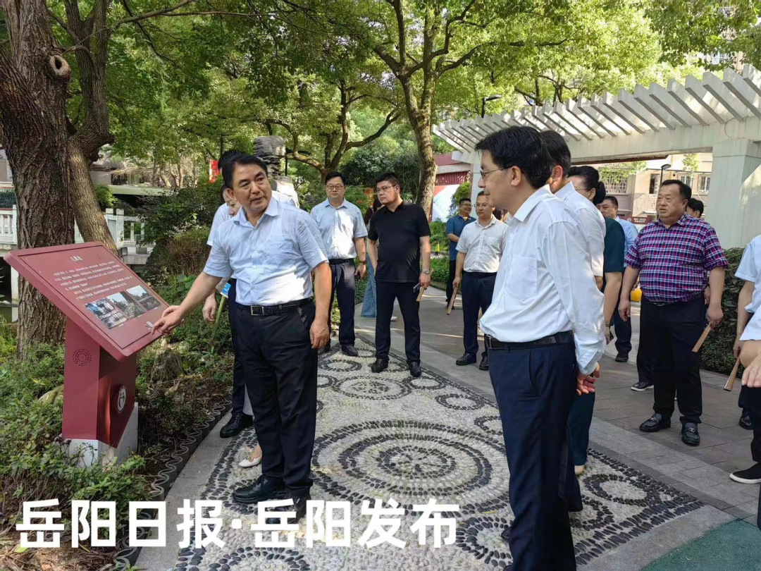 岳阳李岳逢最新消息,岳阳李岳逢最新消息，揭开未来的无限可能