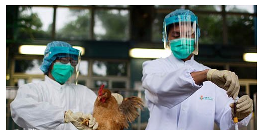 临沂h7h9最新消息,临沂H7N9与H9N2最新消息，疫情动态与防控进展