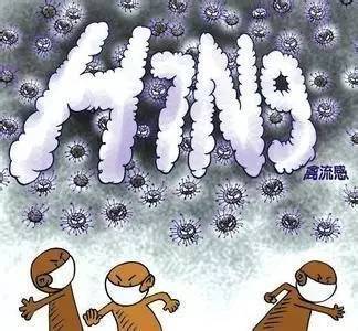 h7n9禽流感最新人数,关于H7N9禽流感最新人数的探讨