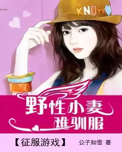 征服游戏野小妻难驯服最新章节,征服游戏野小妻难驯服最新章节，挑战与荣耀的交织