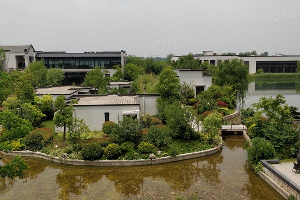 富力乌衣水镇最新消息,富力乌衣水镇最新消息全面解读