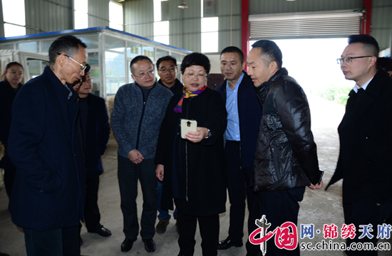 遂宁市最新委常委名单,遂宁市最新委常委名单公布，城市未来展望
