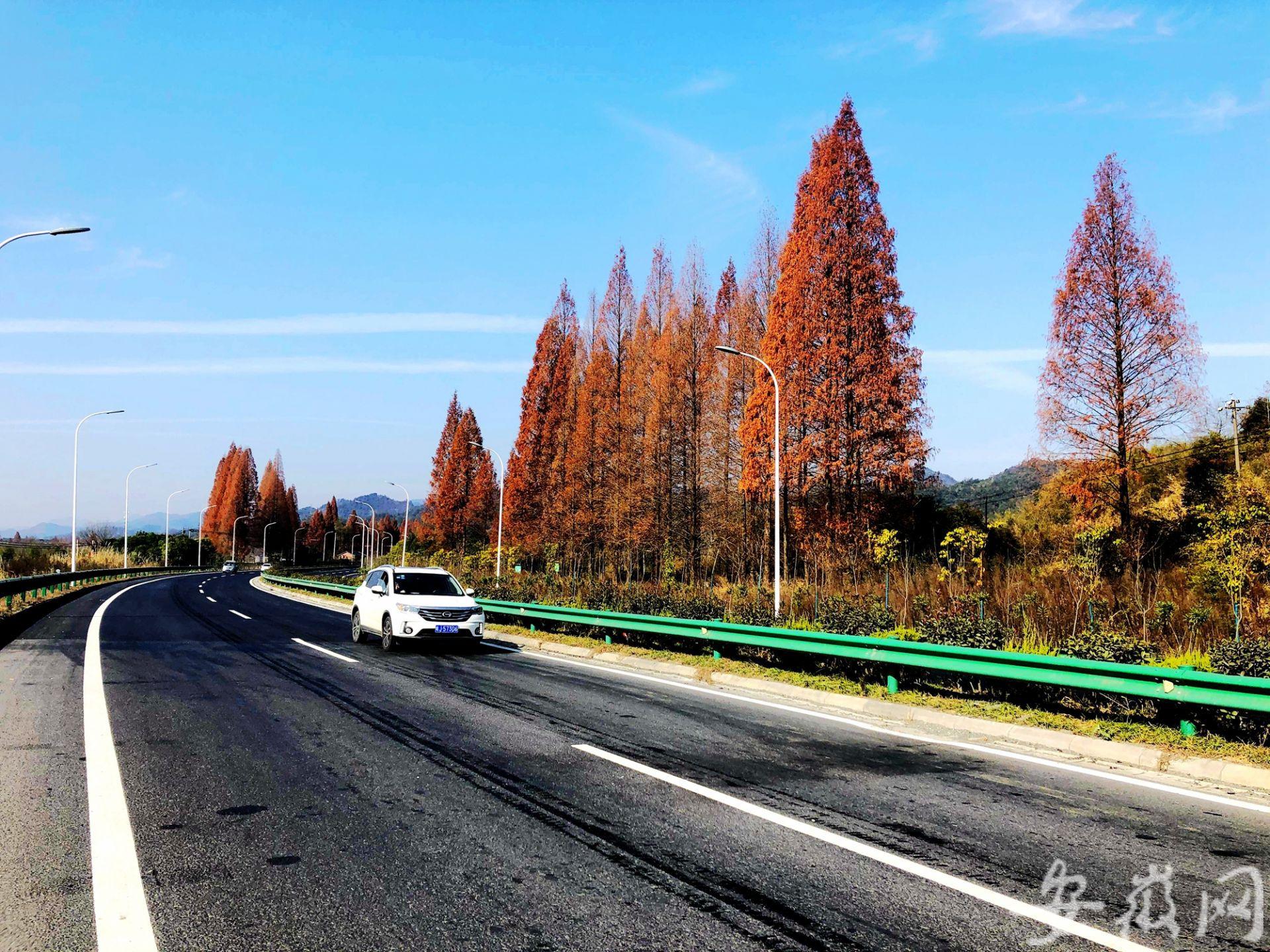 歙黟一级公路最新消息,歙黟一级公路最新消息，建设进展与未来展望