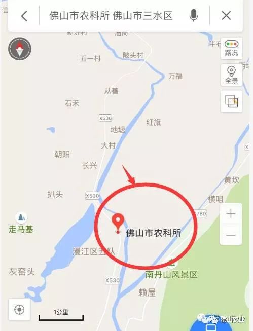 佛山三水南山镇最新发展,佛山三水南山镇的崭新发展