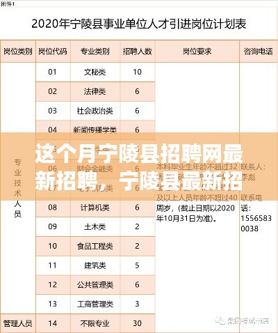 新闻头条 第16页