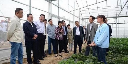 定远县杨峰平最新消息,定远县杨峰平最新消息全面解读